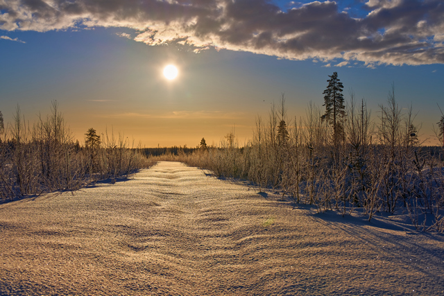 Sigma 60-600mm DN_25w.jpg