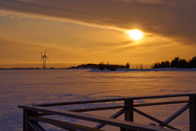 Sigma 65mm f2_8w.jpg