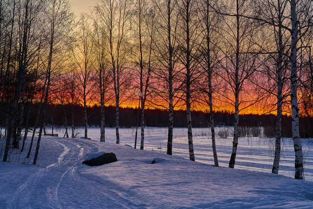 Samyang V-AF 75mm f1.8_20w.jpg