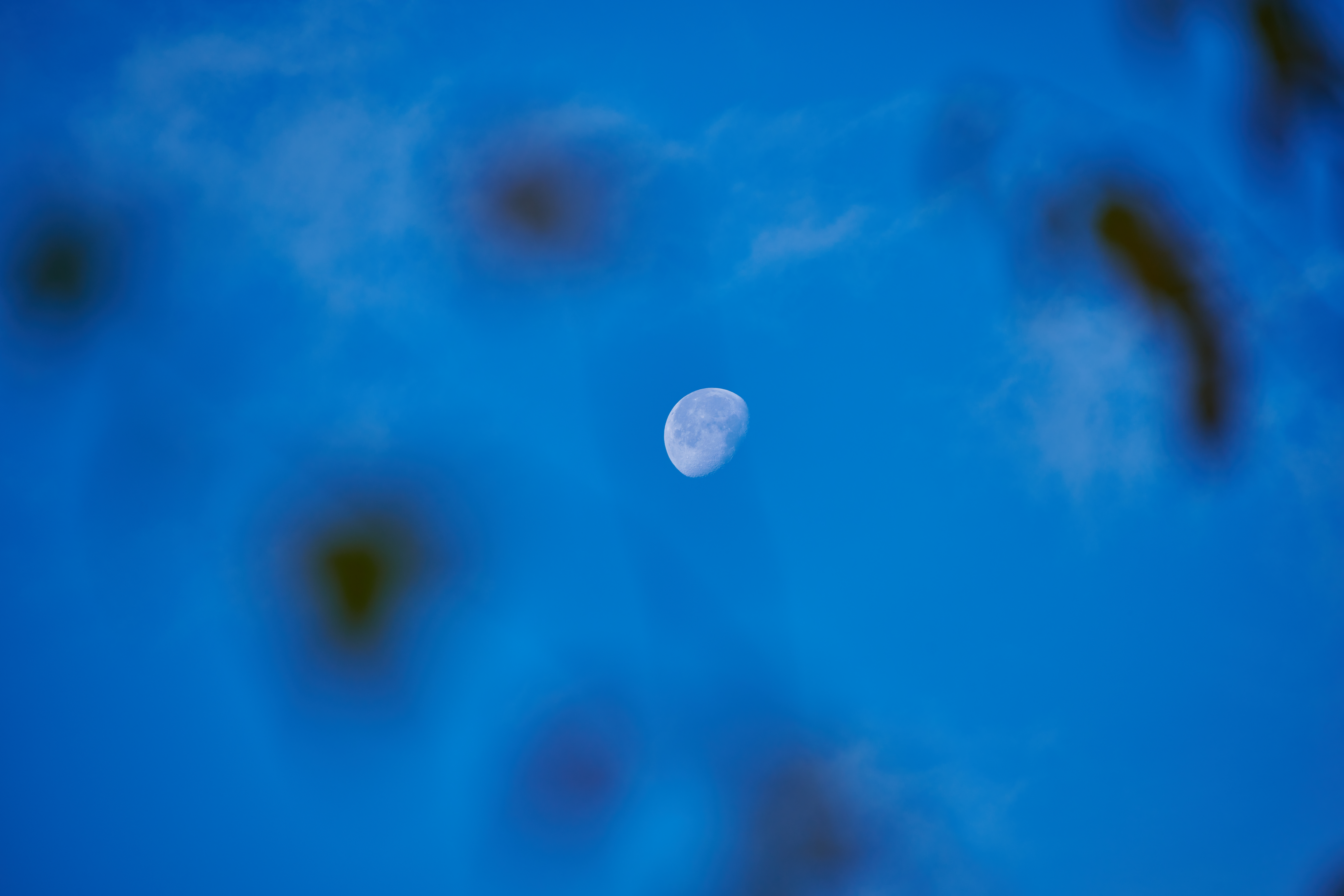 Tamron 70-300 Nikon Z_8b.jpg