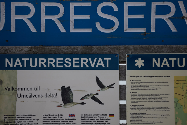 Canon RF 100-400mm_19w.jpg