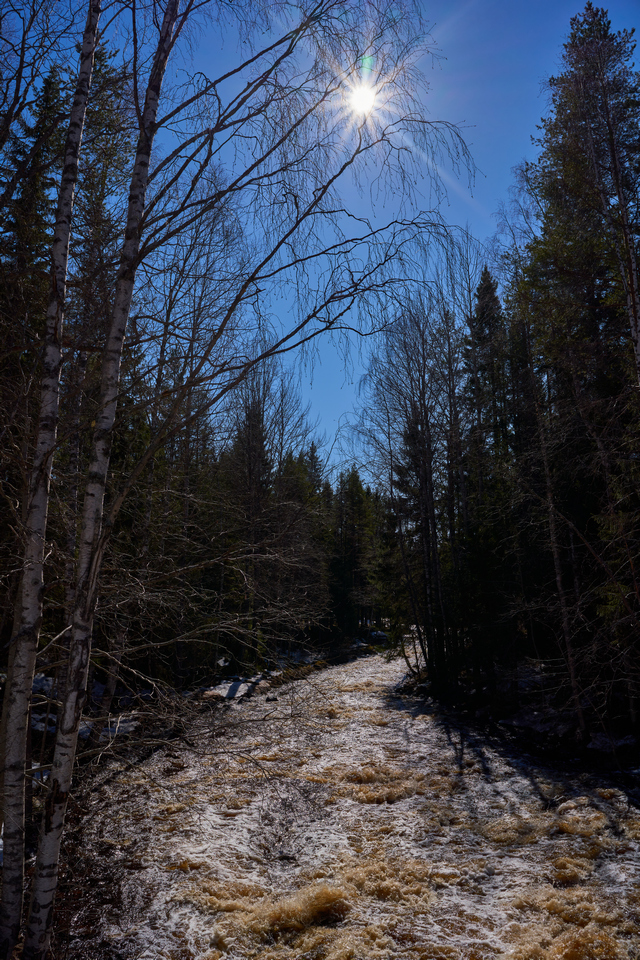 Sony 40mm f2.5_12w.jpg