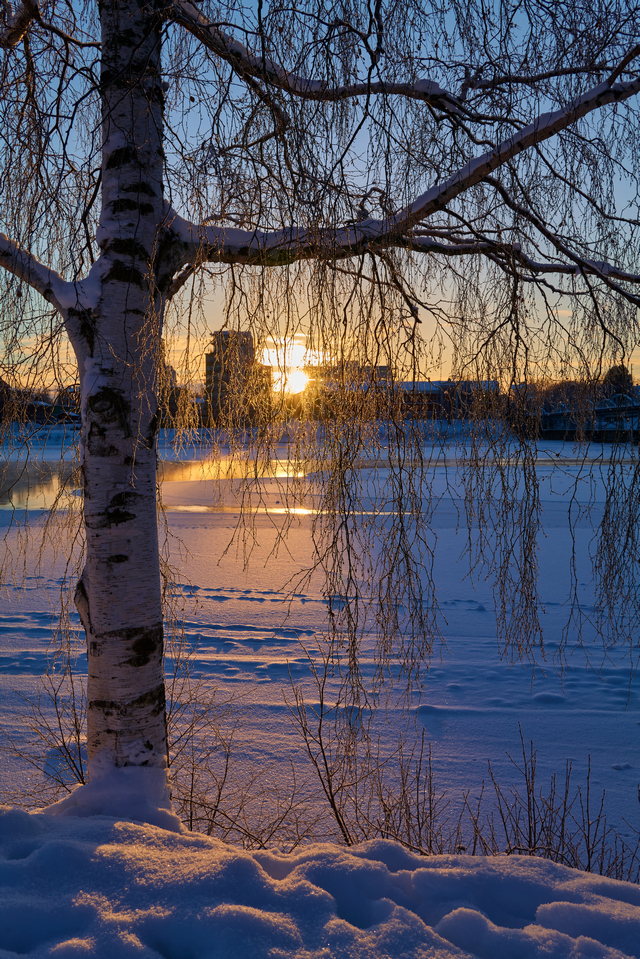 Panaosonic S 35mm f1.8_3w.jpg