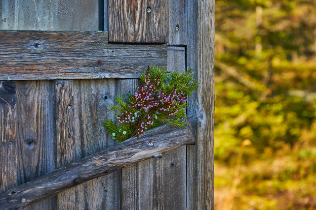 Tamron 18-300 Sony E_30w.jpg