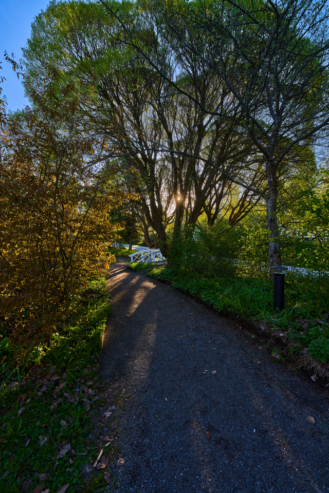 Sony 14mm f1.8_3w.jpg