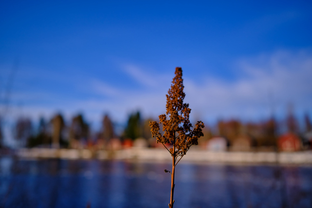 Fuji XF 18mm f1.4_7w.jpg