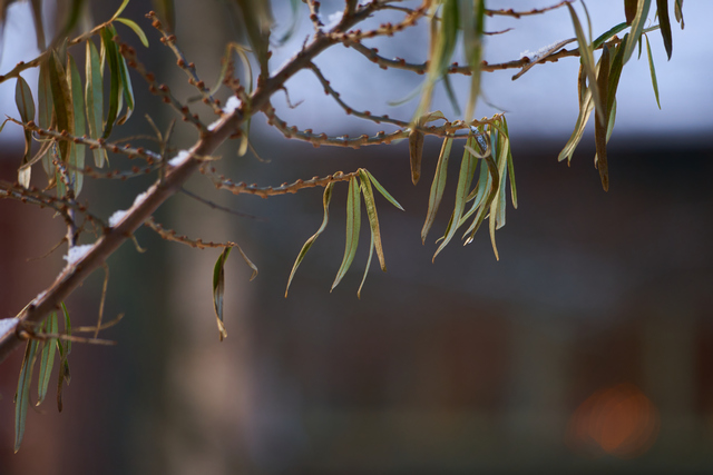 Sony E 70-350G OSS_3w.jpg