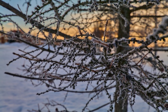 Panasonic S 14-28mm_23w.jpg