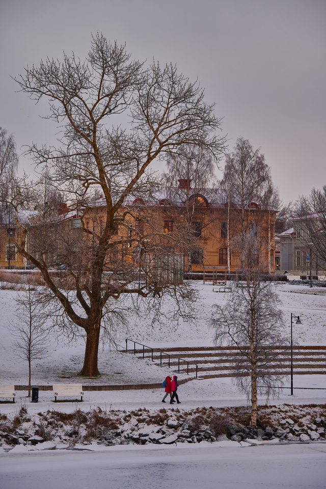 nikon z50 250 dx_46w.jpg