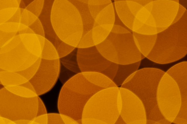 Nikon Z 100_400mm_21w.jpg