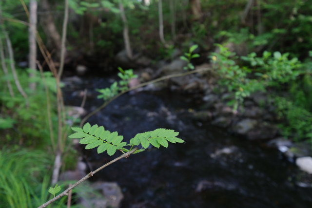 Fujifilm X-H2s_21w.jpg