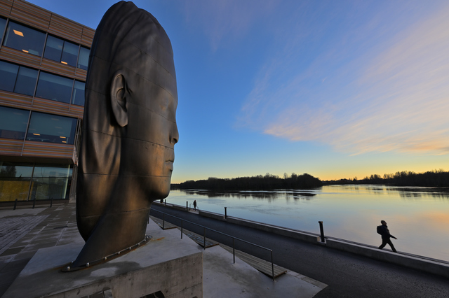 Nikon Z 14_24 f2.8_23w.jpg