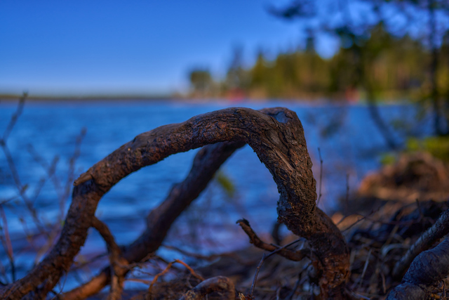 Sony FE 35 f1.4 GM_6w.jpg