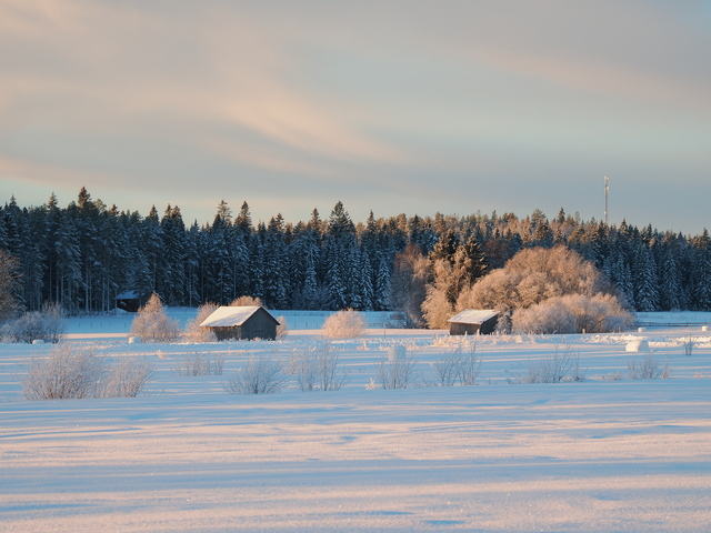 Olympus OM-1_18w.jpg