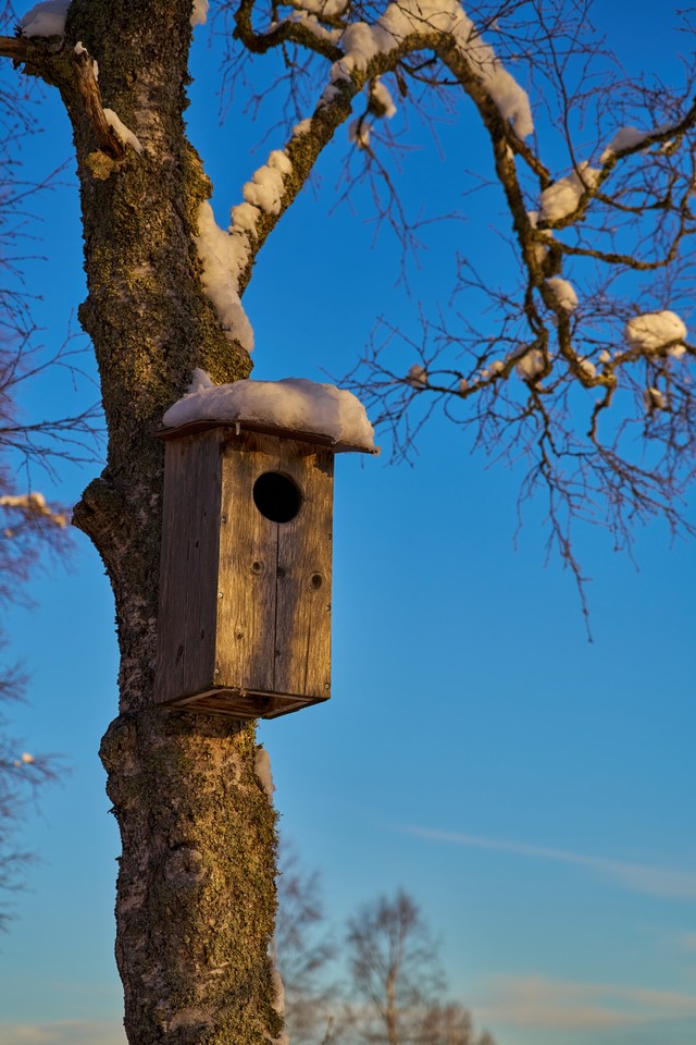 Sony FE 20-70mm f4_26w.jpg