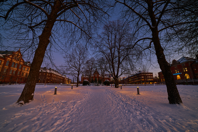 Samyang 14mm Sony_15w.jpg