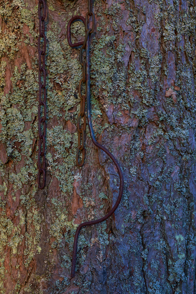 Sony 40mm f2.5_1w.jpg