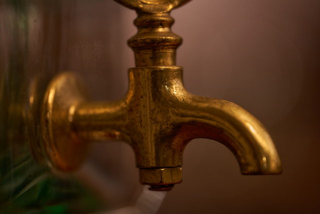 Sigma 105mm macro Sony_2w.jpg