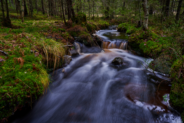 Nikon Z 17-28 f2.8_6w.jpg