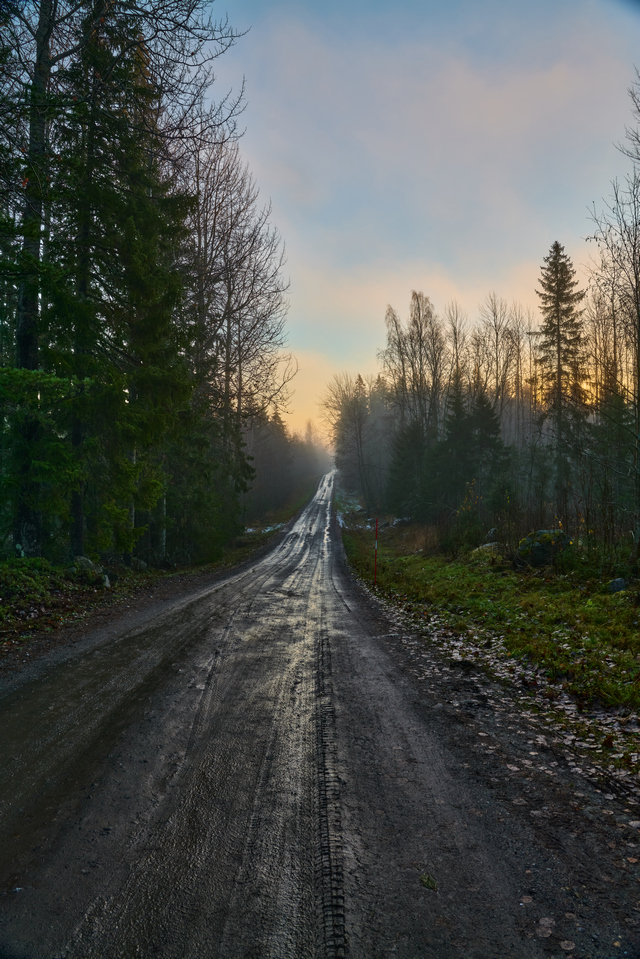 Panasonic 24mm f1.8_13w.jpg