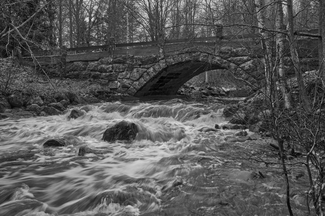 Sony FE 24-70 f2.8 GM II_14w.jpg