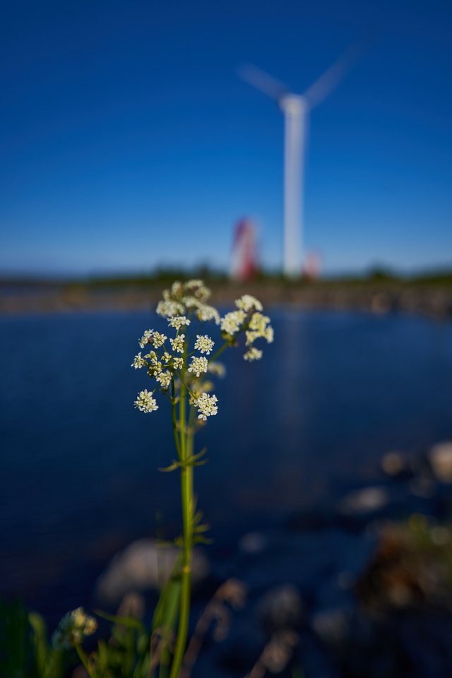 Sigma 16-28 f2.8_14w.jpg