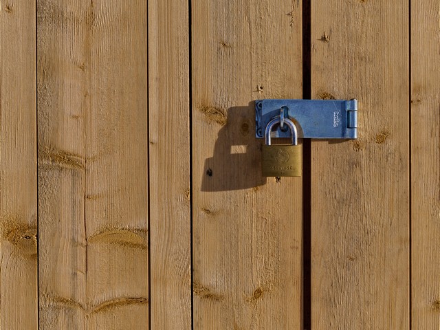 OM System 90mm macro_22w.jpg