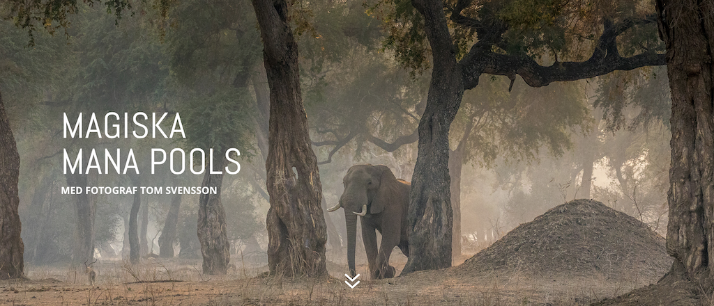 Skärmavbild 2021-04-24 kl. 09.59.59.png