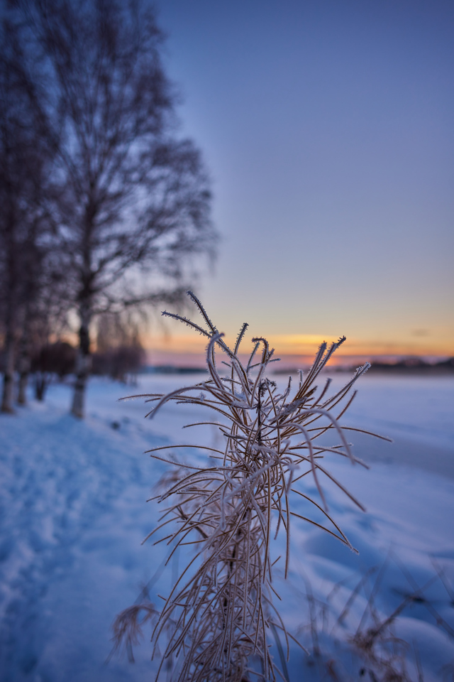 Canon RF 16mm f2.8_21w.jpg