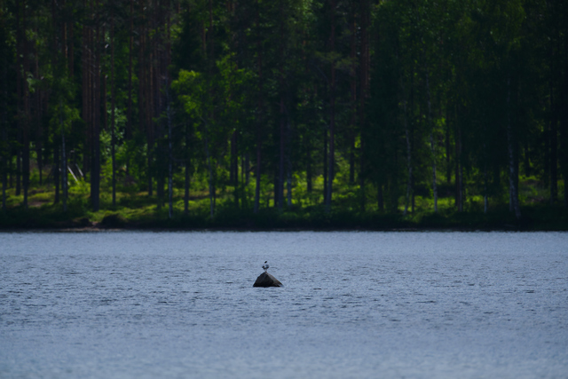 Fujifilm XF 150-600_14w.jpg