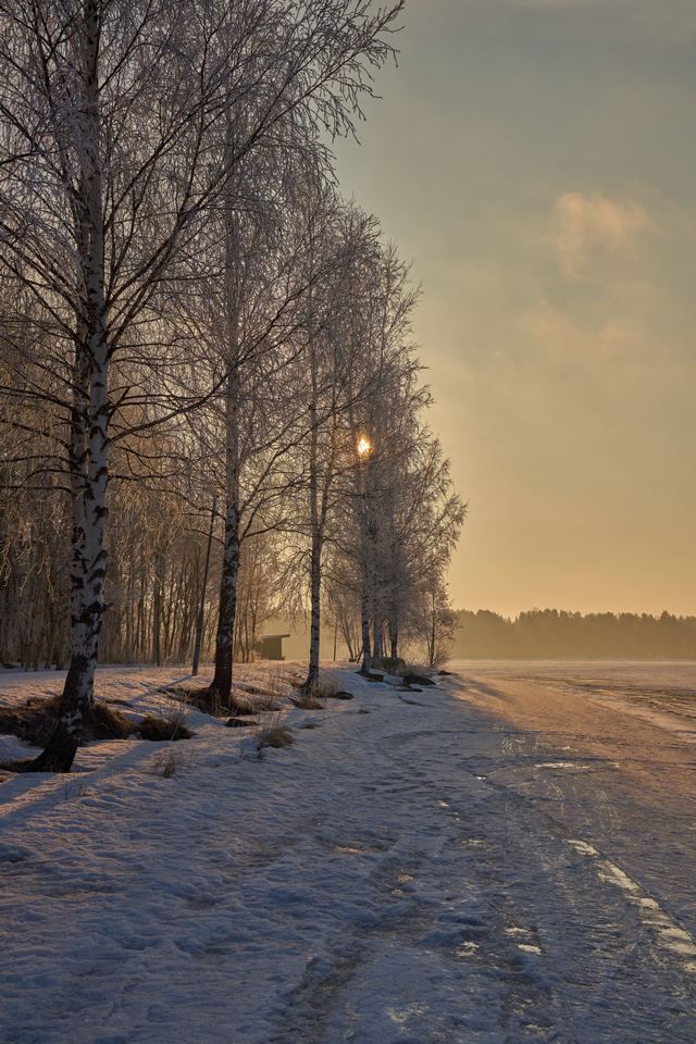 Samyang 24-70 f2.8_17w.jpg