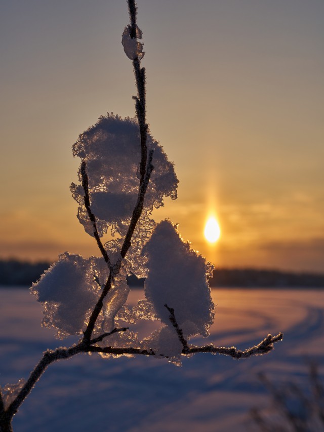 Sony FE 50mm f1.4 GM_14w.jpg