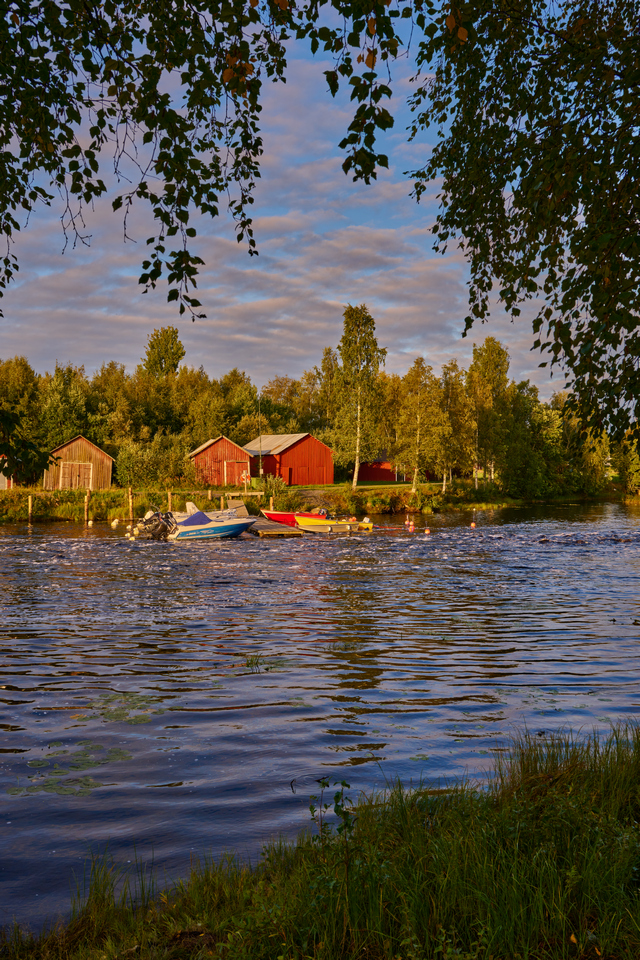 Nikon Z 24-50_21w.jpg