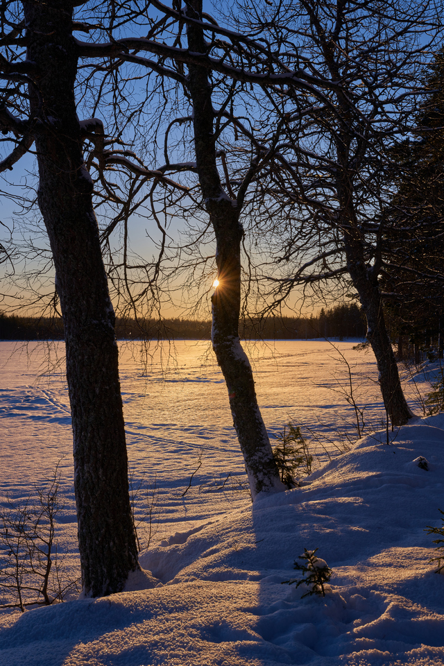 sigma 24-70 art sony_12w.jpg