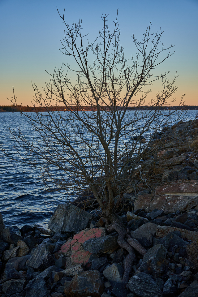 Sigma 18-50 f2.8 Sony_24w.jpg