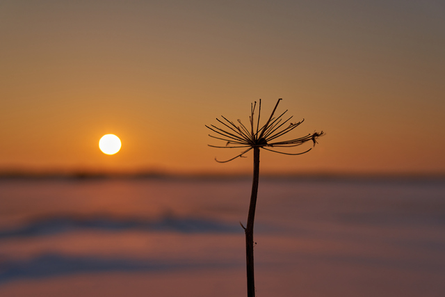 Samyang 24-70 f2.8_14w.jpg