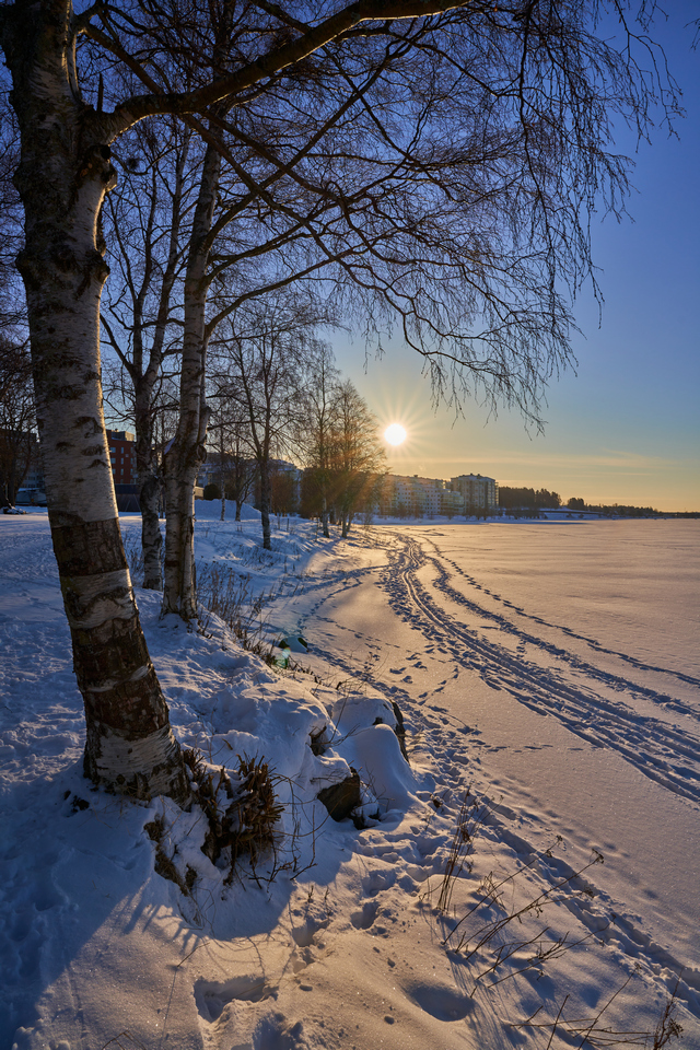 Sigma 20mm f2 DN_10w.jpg