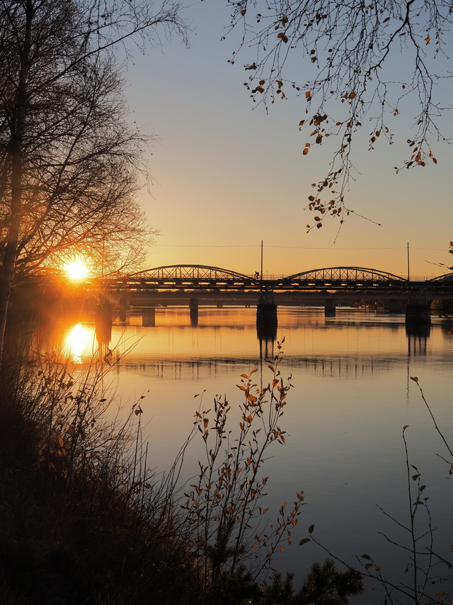 Om System OM5_5w.jpg