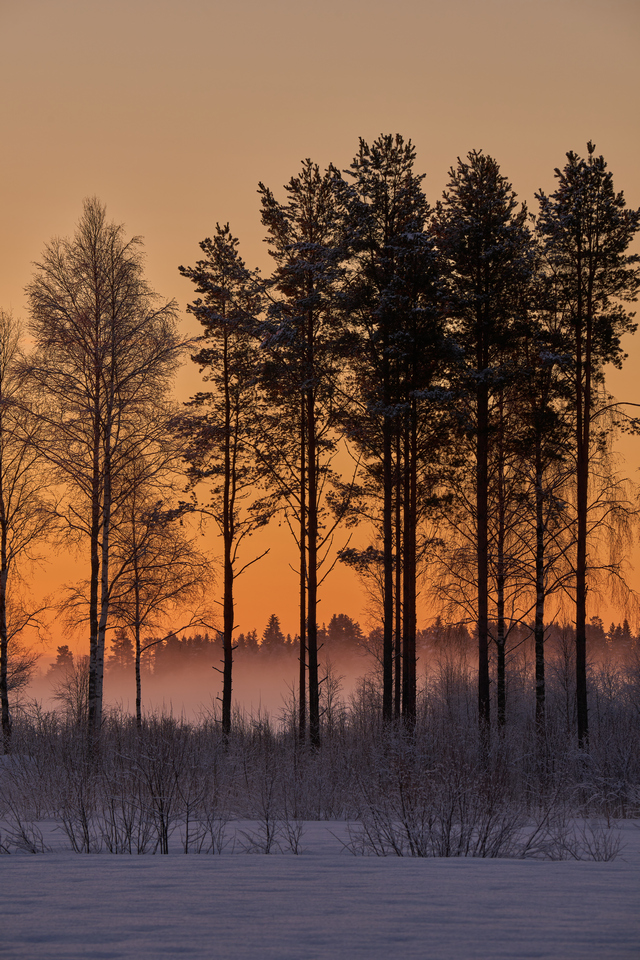 Sigma 60-600mm DN_2w.jpg