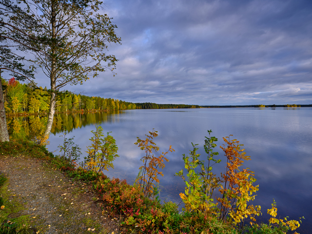 Fujifilm GFX 50s II_22w.jpg