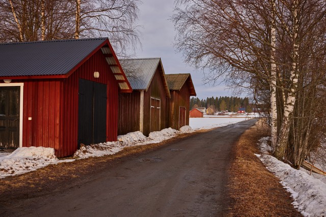 Canon RF 24-50mm_4w.jpg