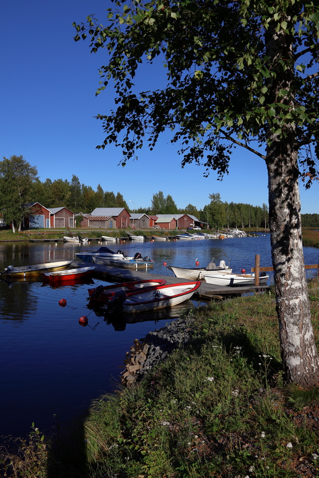 Canon RF 18-150mm_16w.jpg