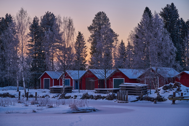 Nikon Z 24-120mm_24w.jpg