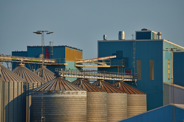 Sigma 150-600 DN_4w.jpg