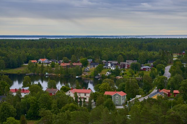 Laowa 100mm macro_11w.jpg