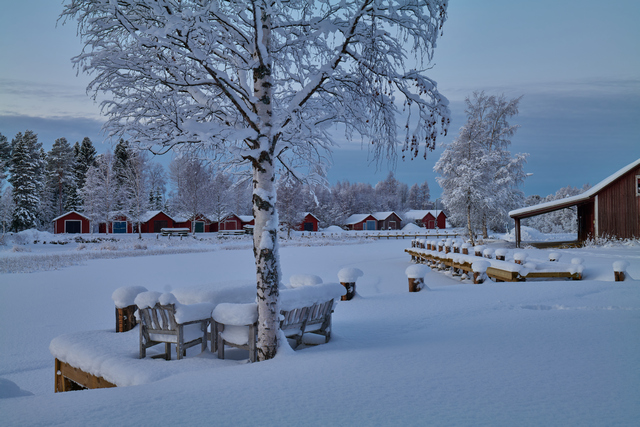 Panasonic S 20-60mm_13w.jpg