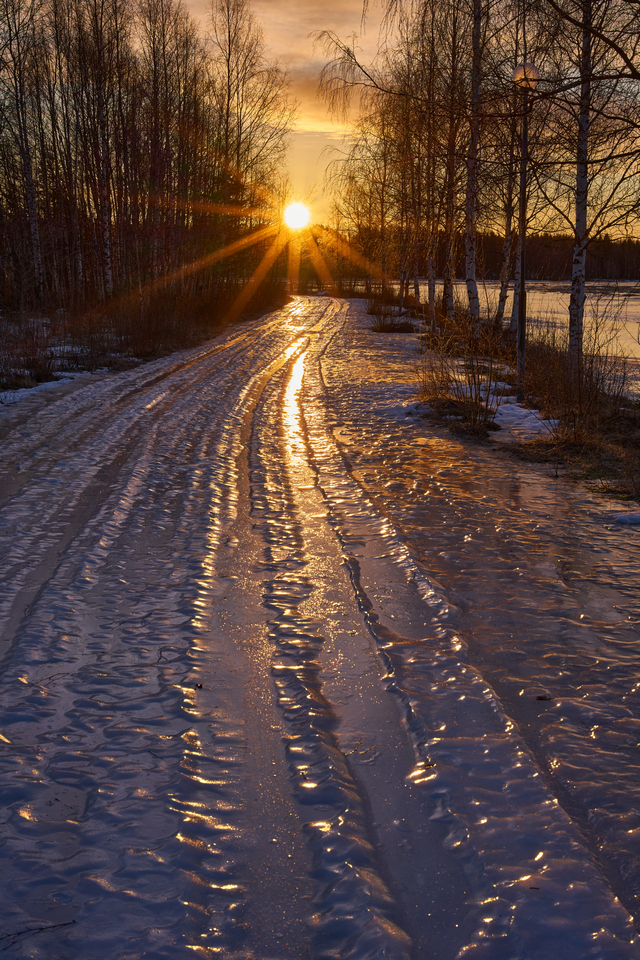 voigtländer lanthar 50 f2_14w.jpg