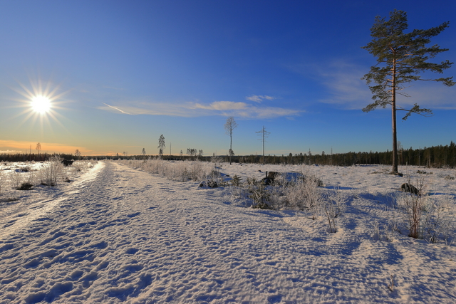 canon eos 1dx mark III_18w.jpg