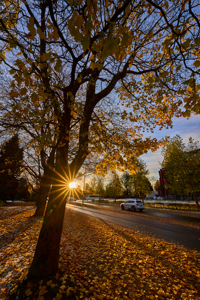 Sony 12-24 f2.8_4w.jpg