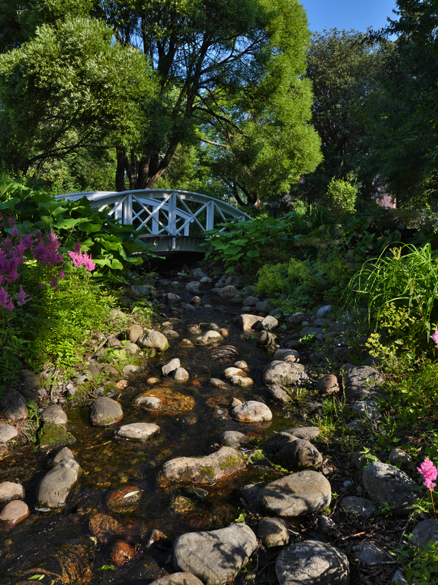 Panasonic GH5 II_19w.jpg